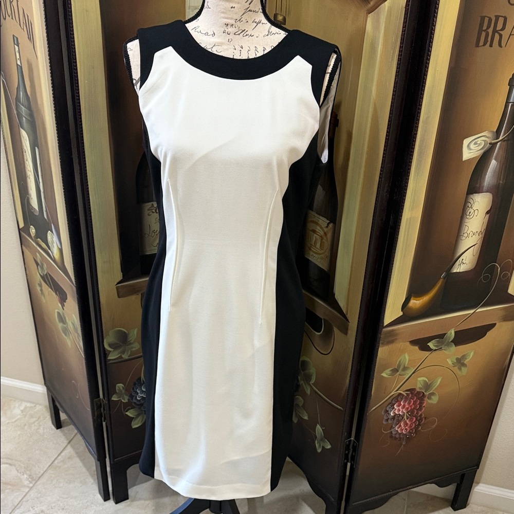 Calvin Klein Black and White Midi Dress